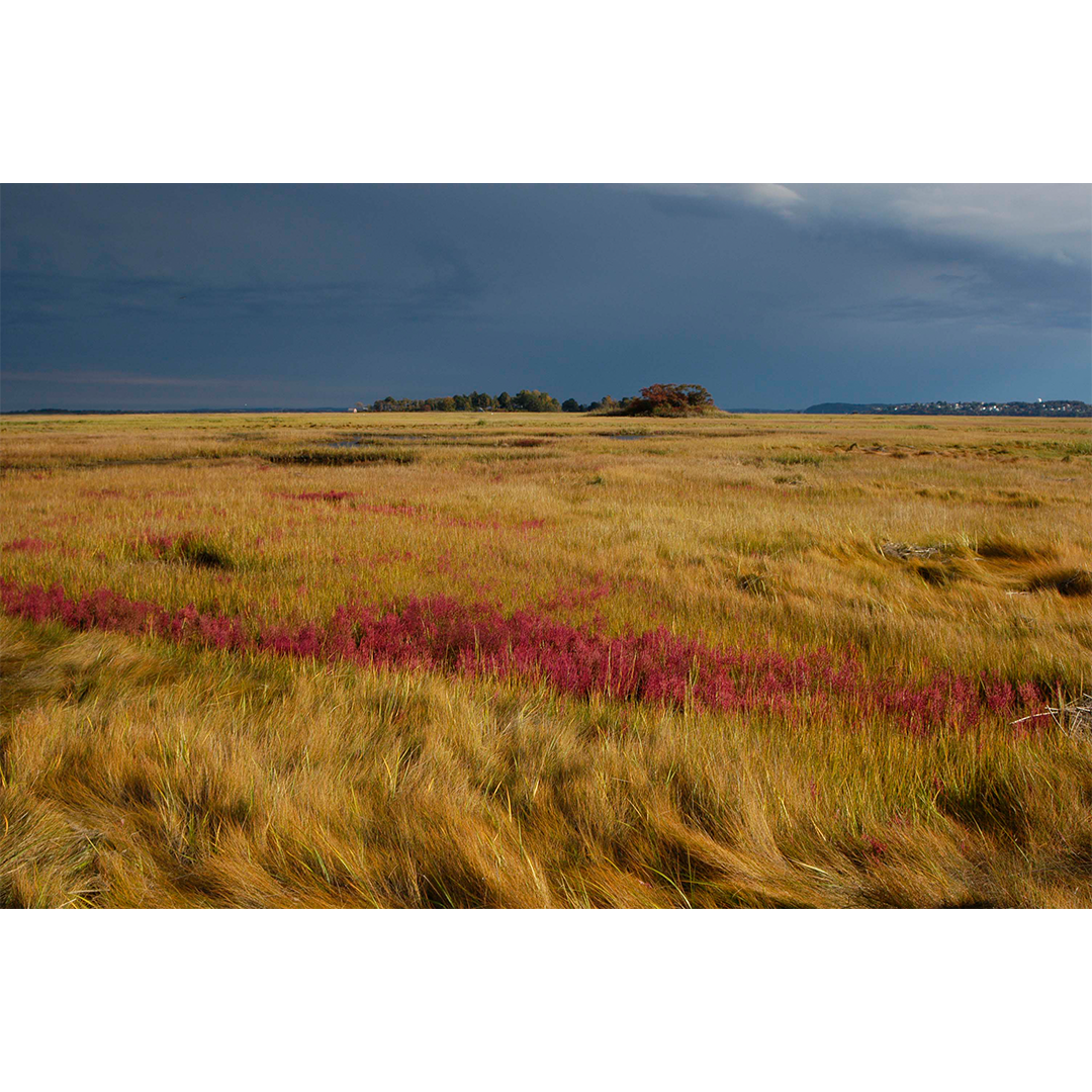 Jay McCarthy Online Gallery Firehouse